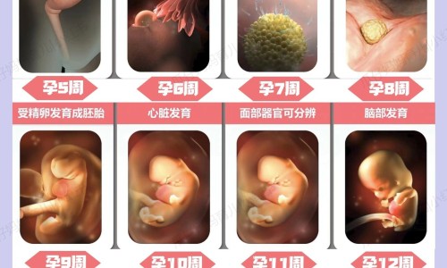 半夏颗粒止咳化痰-权威半夏何谓颗粒主治什么症状平台,分享专业半夏颗粒说明书用量知识_半夏颗粒说明书网